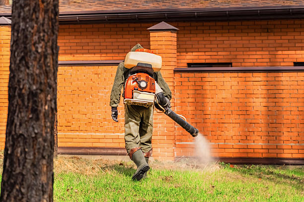 Bed Bug Clearance Verification and Documentation in Bradley